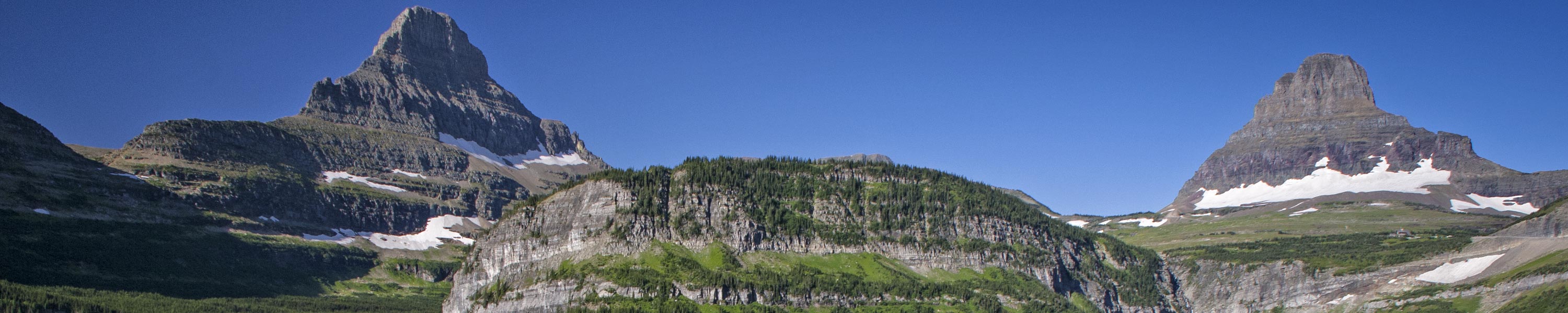 Header img