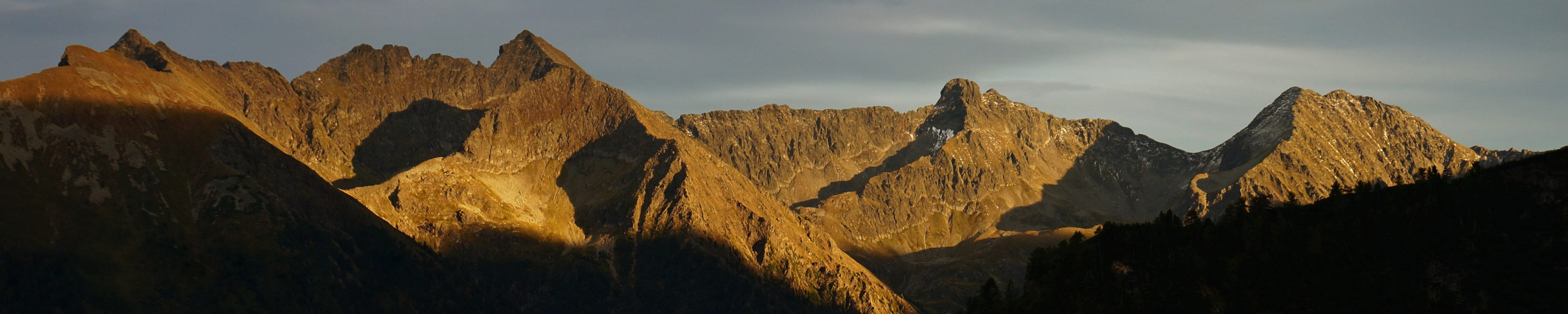 Header img