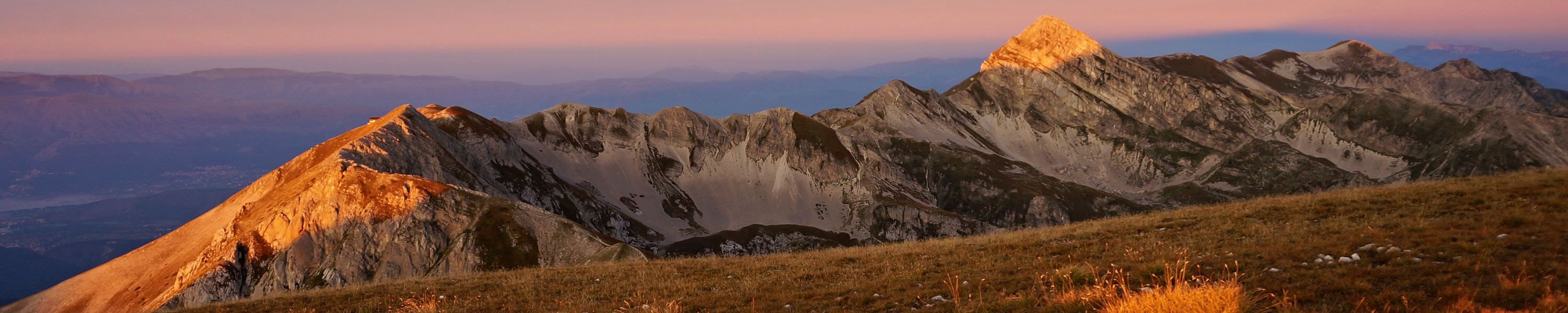 Header img